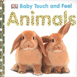 Best Books For Babies 6 To 12 Months